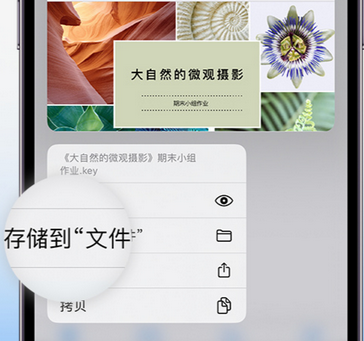 青山apple维修中心分享iPhone文件应用中存储和找到下载文件