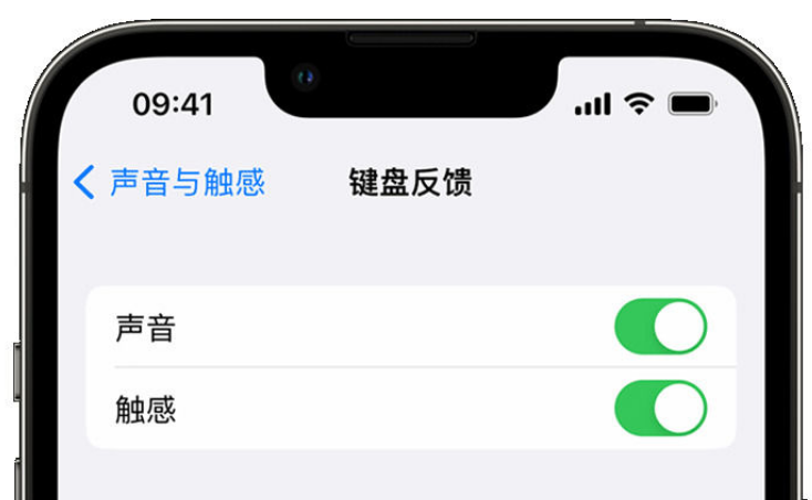 青山苹果手机维修分享iPhone 14触感键盘使用方法 