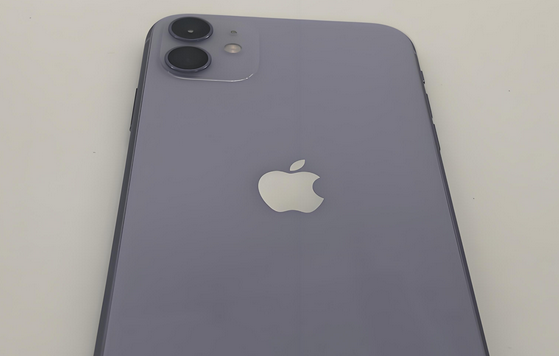 青山苹果11系统维修分享iPhone11手机系统崩溃无法开机如何解决